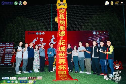 Последние новости компании о НАСИДЕ·Чемпионат мира по футболу в Хуачэне