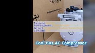 Hyundai Kia Mini Bus AC Compressor 9925058120